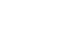 Lost Social Club logo