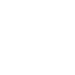Wonderland Bar logo